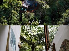 -普洱太阳河森林公园
