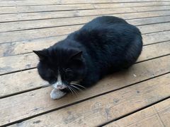 -新疆狼爷烤肉(宋庄店)