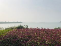 -漕湖湿地公园