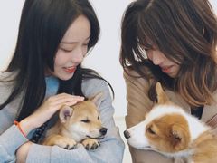 -浣熊柯尔鸭土拨鼠·电玩咖
