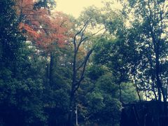 -石燕湖生态旅游景区
