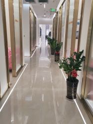 点击看大图 -维纳斯婚纱摄影(友好北路店)