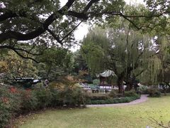 -申粤轩酒楼·三十年粤菜经典(丁香花园店)