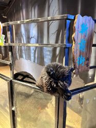 -酷嗒动物文化乐园(cutezoo西溪乐天城店)