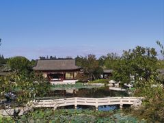 -上海滨江森林公园