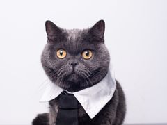 -湖北三五醇酒店·35年新楚菜