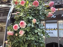 -樱之味精致料理融合餐厅