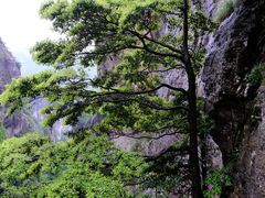 -雁荡山风景名胜区