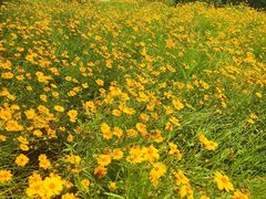 -盘龙城国家考古遗址公园