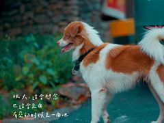 -白云源风景区
