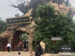 -大槐树寻根祭祖园