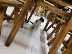 -东北熏肉大饼(大学南路店)