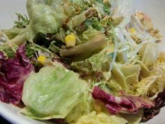 -辛德勒啤酒德餐厅