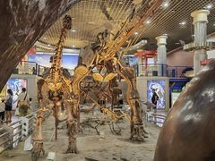 -国家自然博物馆