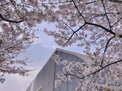 -龙美术馆(西岸馆)