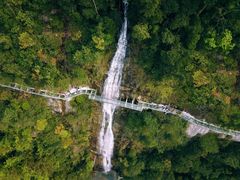 -九龙江国家森林公园