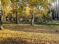 -长春市南湖公园