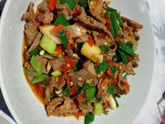 泡辣椒炒牛肉-壹盏灯(蚂蚁工房店)