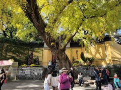 -无锡惠山寺