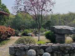 -东莞植物园