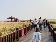 -南大港湿地风景区