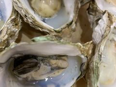 碳烤青烧生蚝-贞姨美食·老字号海鲜大排档