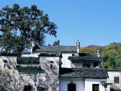-塔川景区
