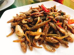 炒乡下山坑鱼-客嘉城(西丽店)