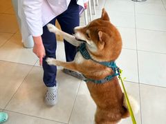 -美迦爱-牙专科·兔科·骨科诊疗中心(北苑店)