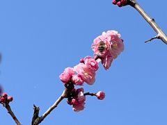 -北京市劳动人民文化宫