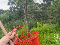 -塘栖枇杷特色园区