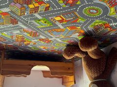 -金山农民画村-枫泾波兰倒置屋