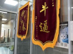 -美美宠物诊疗中心·异宠·骨科(滨江东信分院)