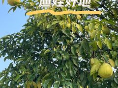 -南通洲际绿博园