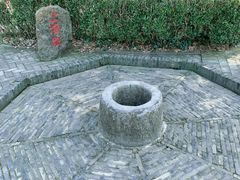 -上海佘山国家森林公园天马山园