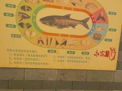 -永安水煮活鱼·仪征土菜院子