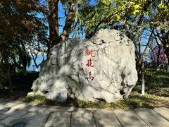 -金鸡湖游船(月光码头)