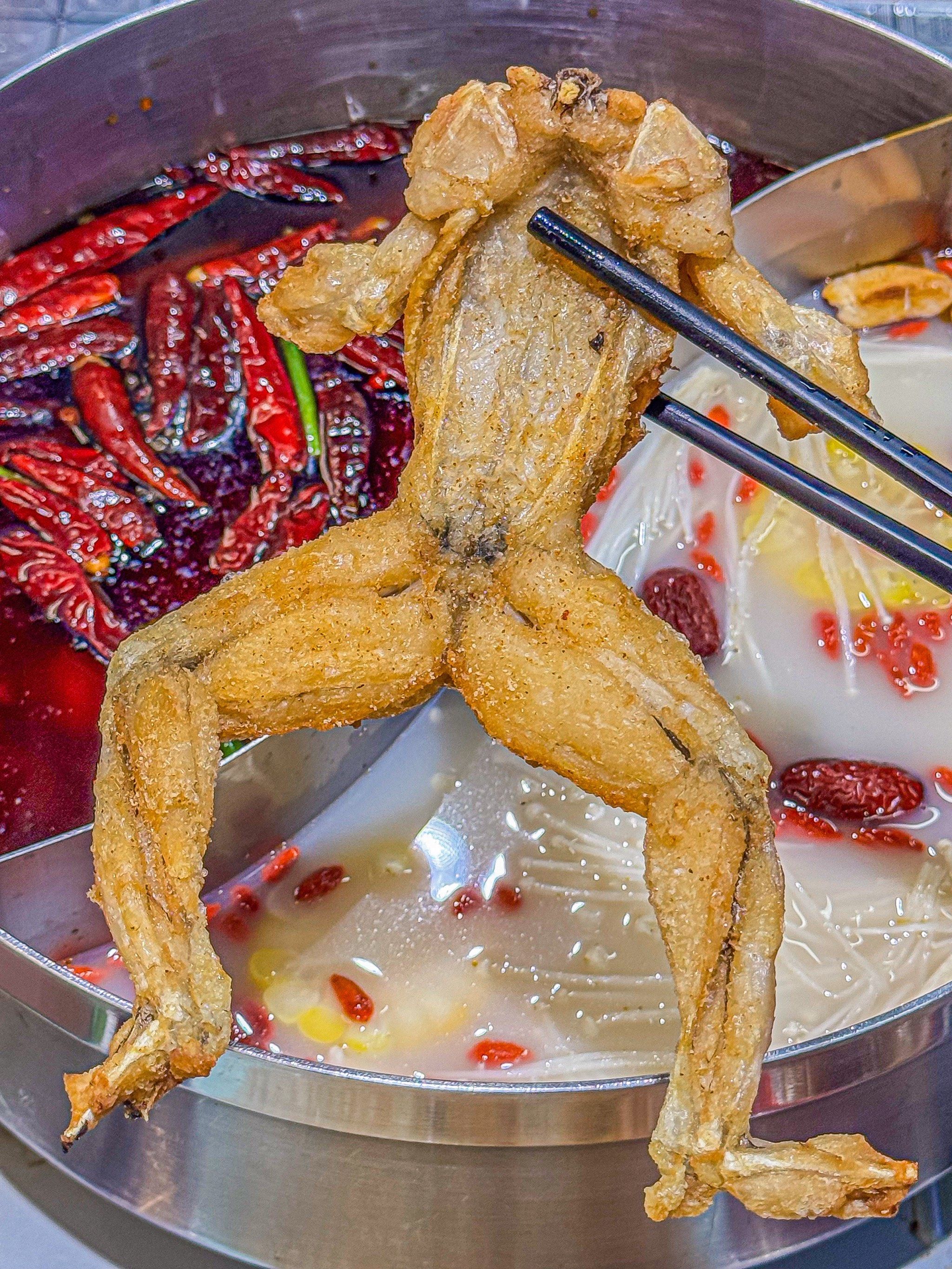 广州的牛蛙都这么卷了吗?