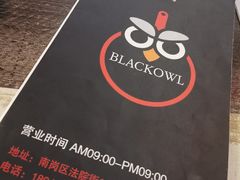 -猫头鹰炸鸡