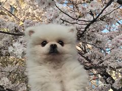 -杨高南路(地铁站)