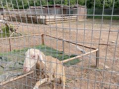 -北京山里寒舍度假酒店