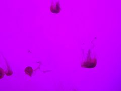 -沈阳海洋探索中心