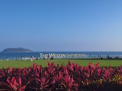 -元素中餐厅.海南菜.粤菜.椰子鸡.海鲜.包房.石梅湾威斯汀度假酒店