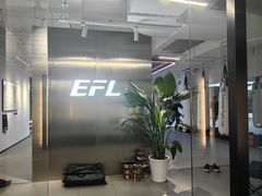 -EFL巴西柔术·综合格斗·泰拳·少儿体能训练(虹桥德必馆)
