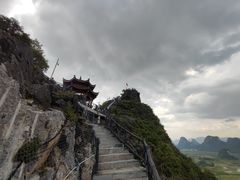 -会仙湿地