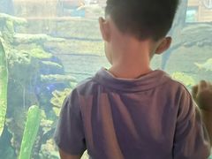 -长鹿旅游休博园