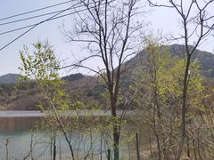 -金龙寺国家森林公园