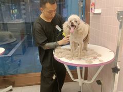 -FAELING PETS美天灵宠物(富力广场店)