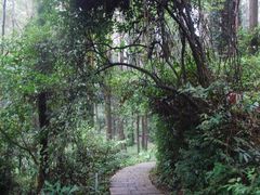 -水濂山森林公园