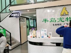 -半岛宠物医院24小时(科华中路店)